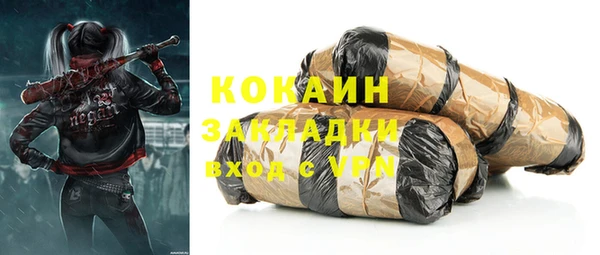 mdpv Инсар