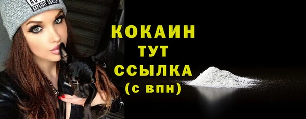 mdpv Инсар