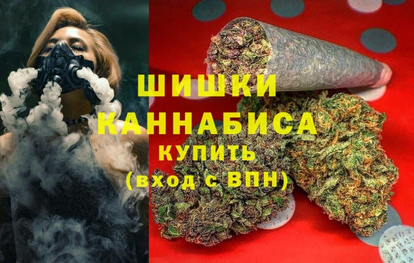 mdpv Инсар