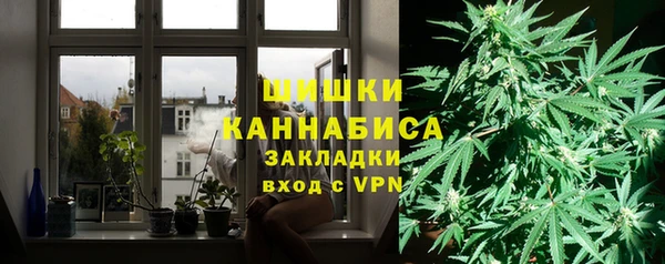эйфоретик Иннополис