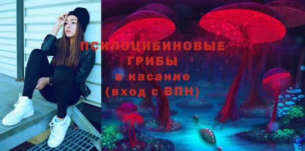 mdpv Инсар