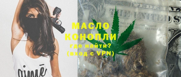 mdpv Инсар