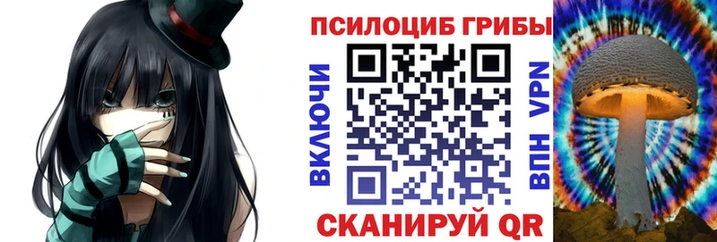 Псилоцибиновые грибы Psilocybe  Купить закладки  Высоковск 